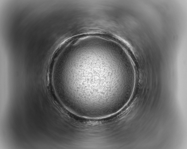 X0000096411407200801311343