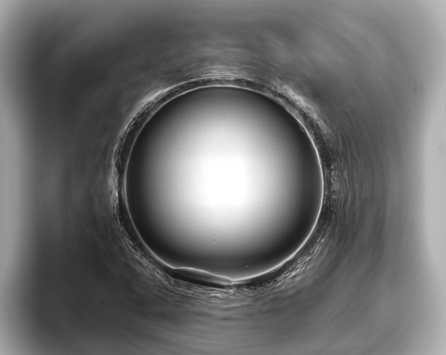 X0000096411408200801311343