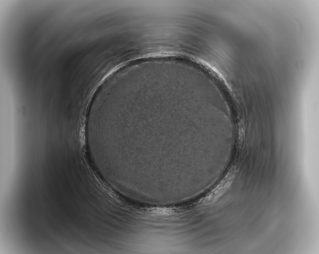 X0000096411409200801311343
