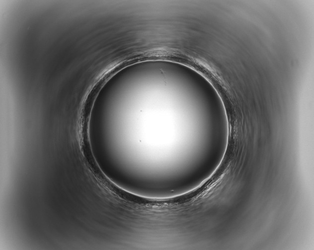 X0000096411410200801311343