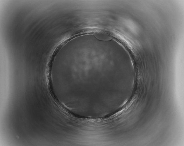 X0000096411411200801311343