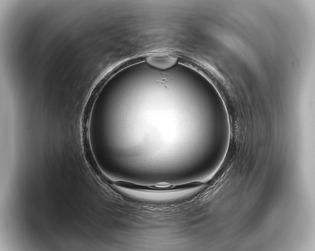 X0000096411412200801311343