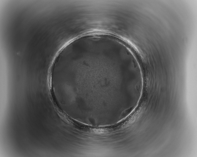 X0000096411413200801311343