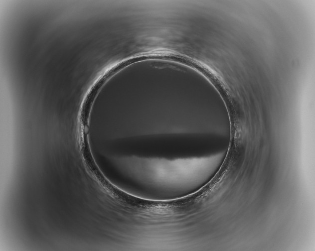 X0000096411414200801311343