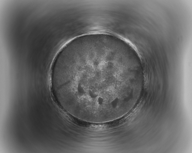 X0000096411415200801311343