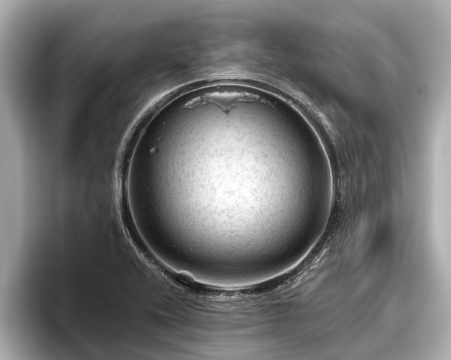 X0000096411416200801311343