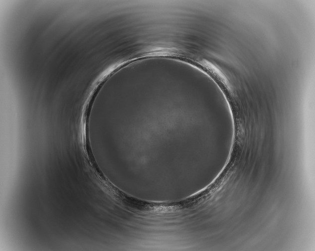 X0000096411419200801311343