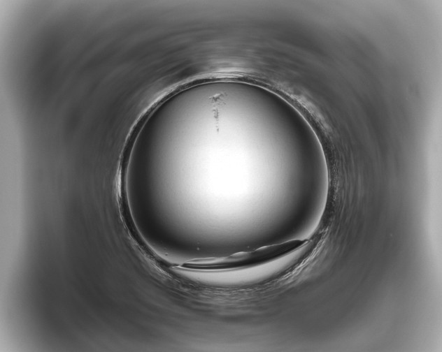 X0000096411420200801311343