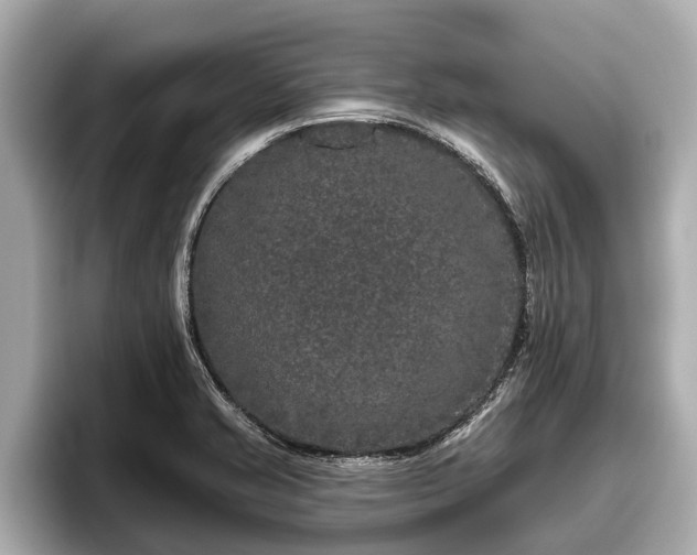 X0000096411421200801311343