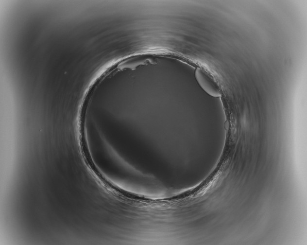 X0000096411422200801311343