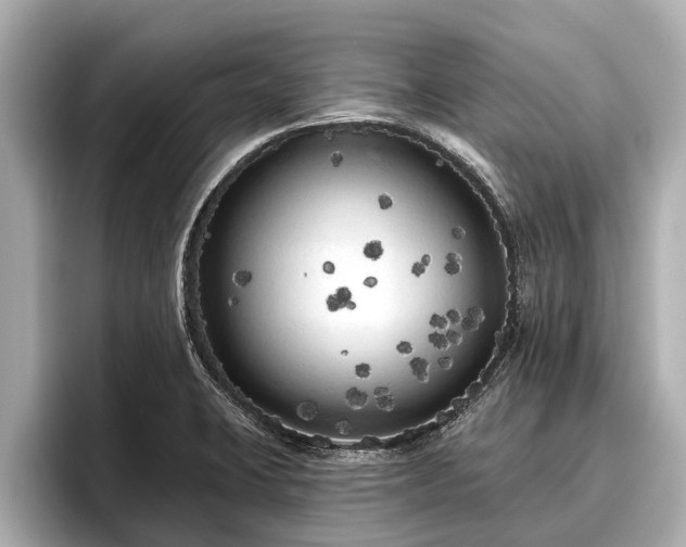 X0000096411423200801311343