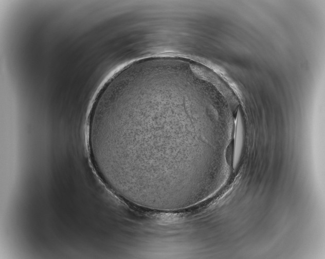 X0000096411424200801311343
