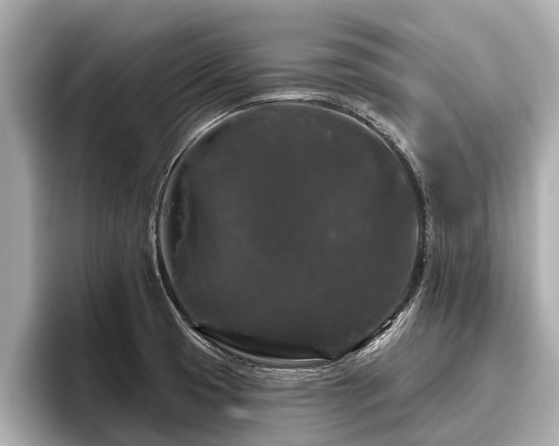 X0000096411425200801311343