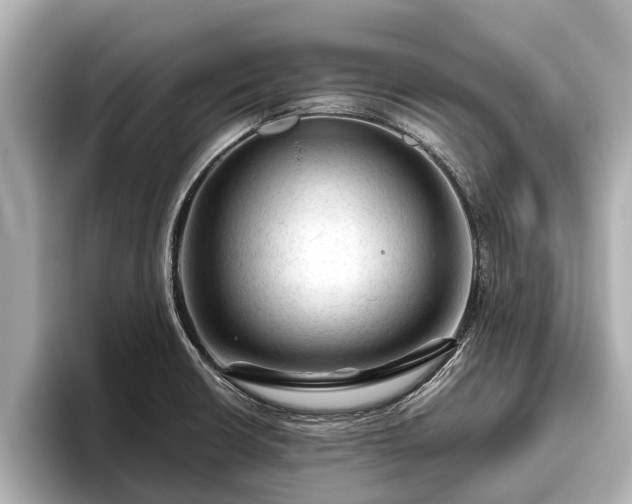 X0000096411426200801311343
