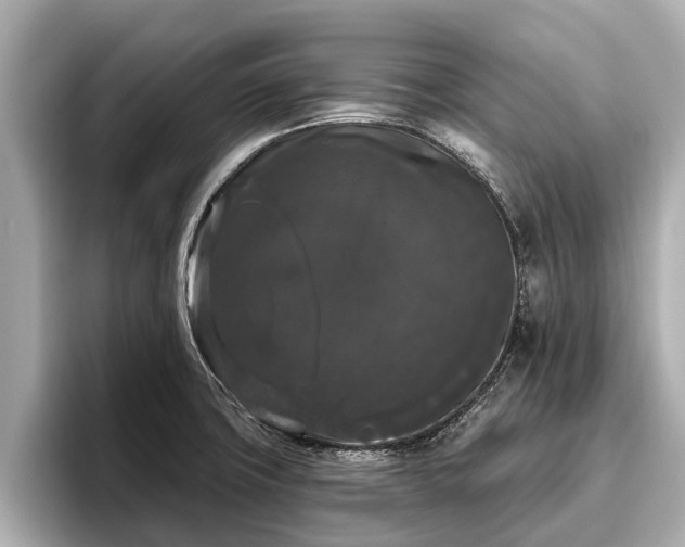 X0000096411427200801311343