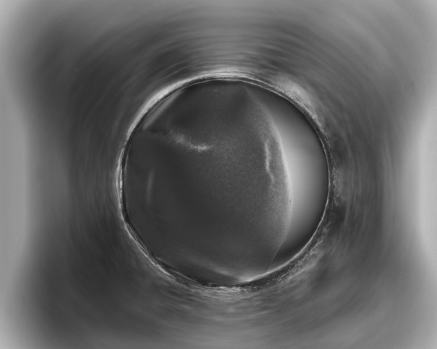 X0000096411428200801311343