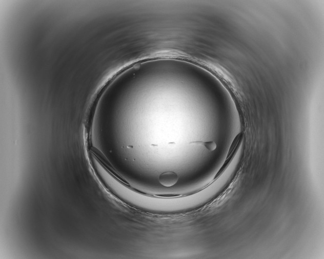 X0000096411430200801311343