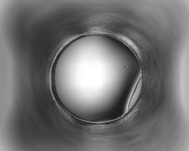 X0000096411431200801311343