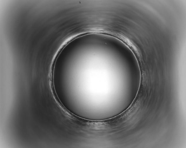 X0000096411432200801311343