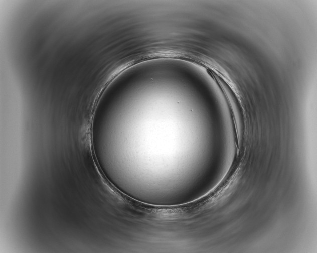 X0000096411433200801311343