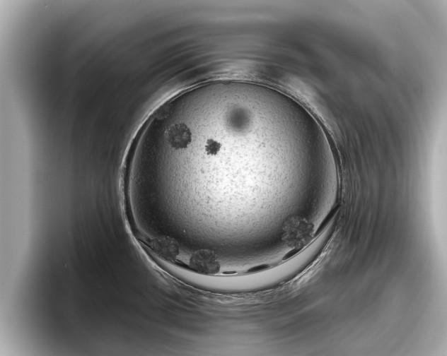 X0000096411434200801311343