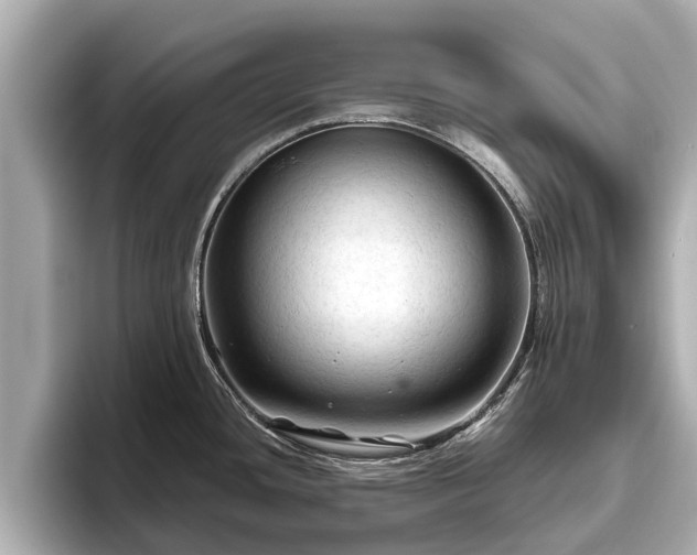 X0000096411436200801311343