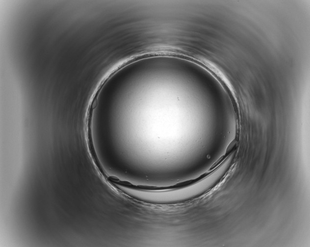 X0000096411437200801311343