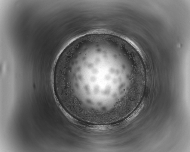 X0000096411438200801311343