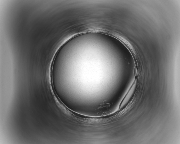 X0000096411439200801311343