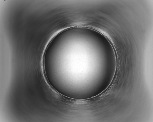 X0000096411440200801311343