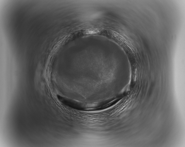 X0000096411441200801311343