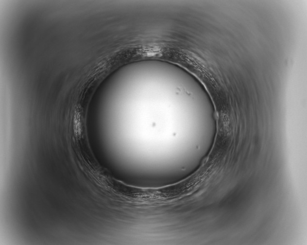 X0000096411442200801311343