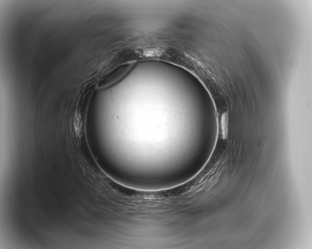 X0000096411443200801311343
