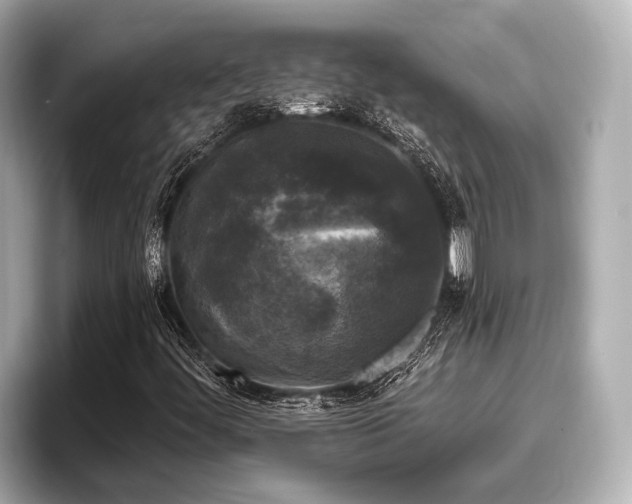 X0000096411444200801311343