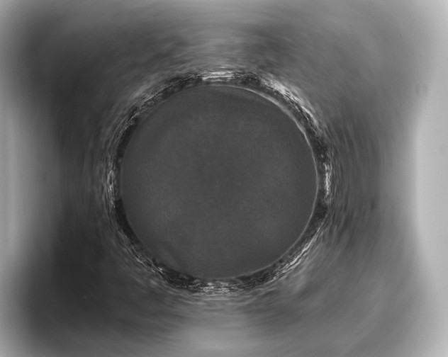 X0000096411445200801311343