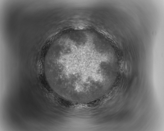 X0000096411446200801311343