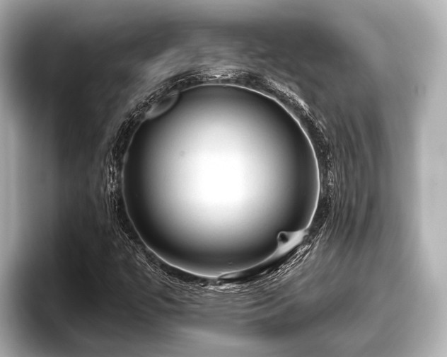 X0000096411447200801311343