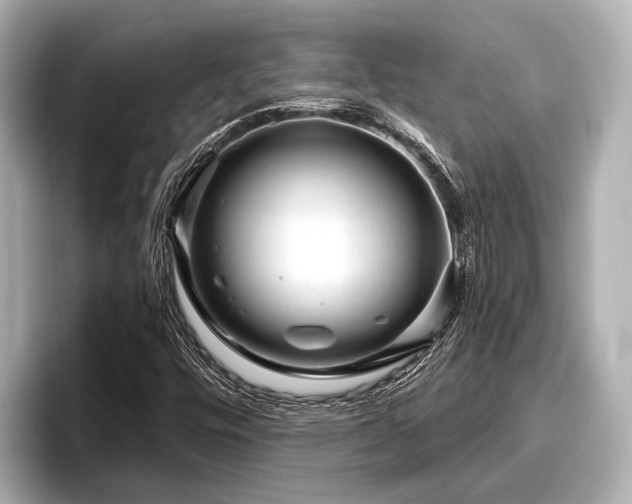 X0000096411448200801311343