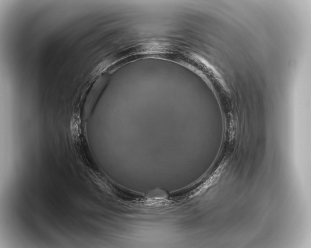 X0000096411449200801311343