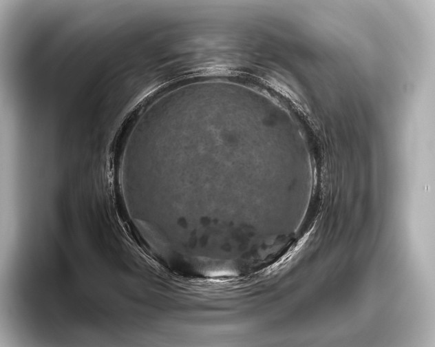 X0000096411450200801311343