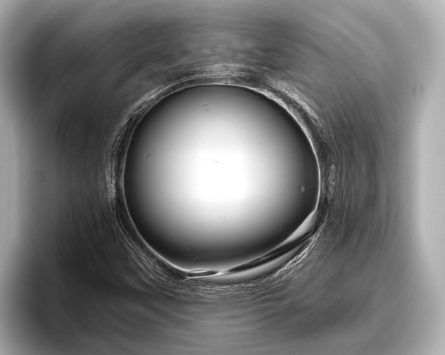 X0000096411451200801311343