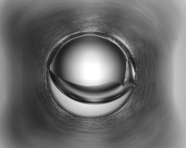 X0000096411452200801311343