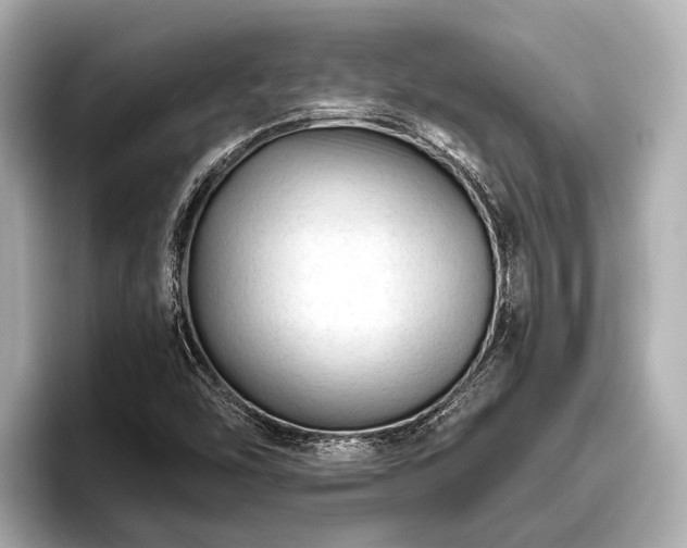 X0000096411454200801311343