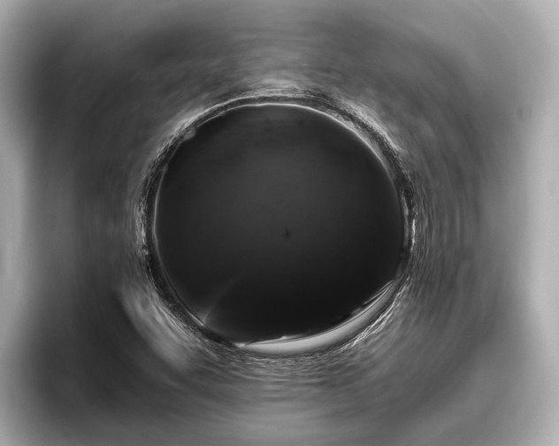 X0000096411455200801311343
