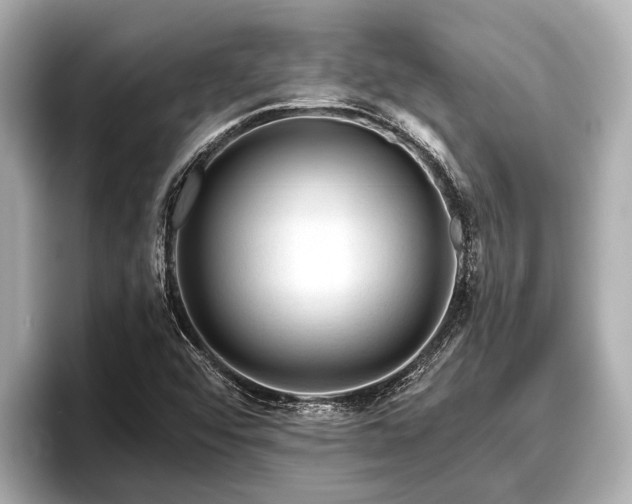 X0000096411456200801311343