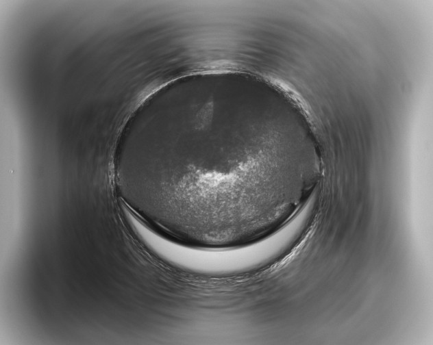 X0000096411457200801311343
