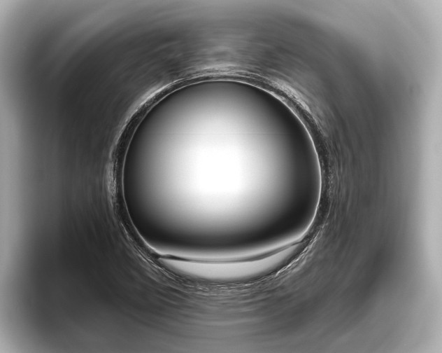 X0000096411458200801311343