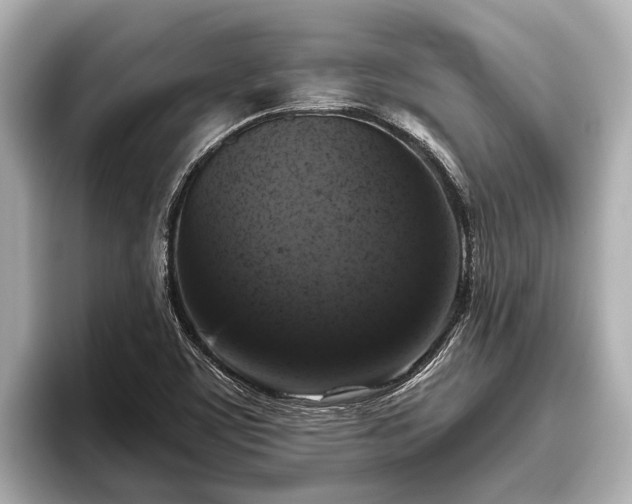 X0000096411459200801311343