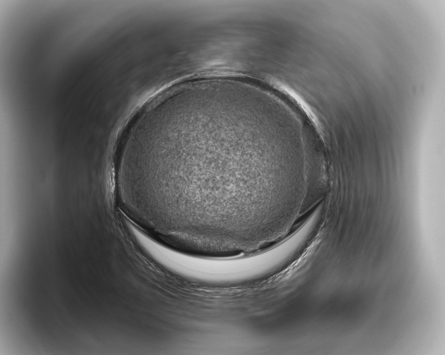 X0000096411461200801311343