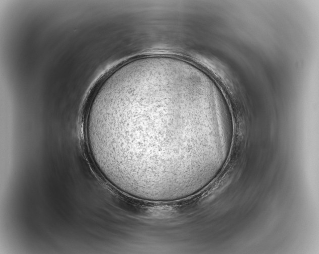 X0000096411462200801311342